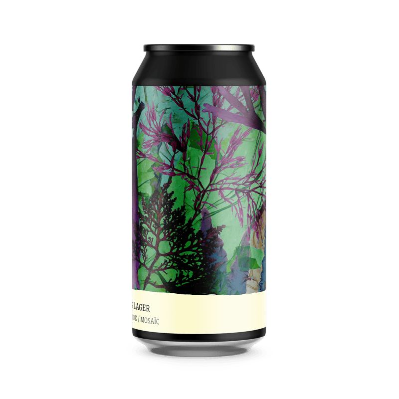 Torr Penn IPL India Penhors Lager 2
