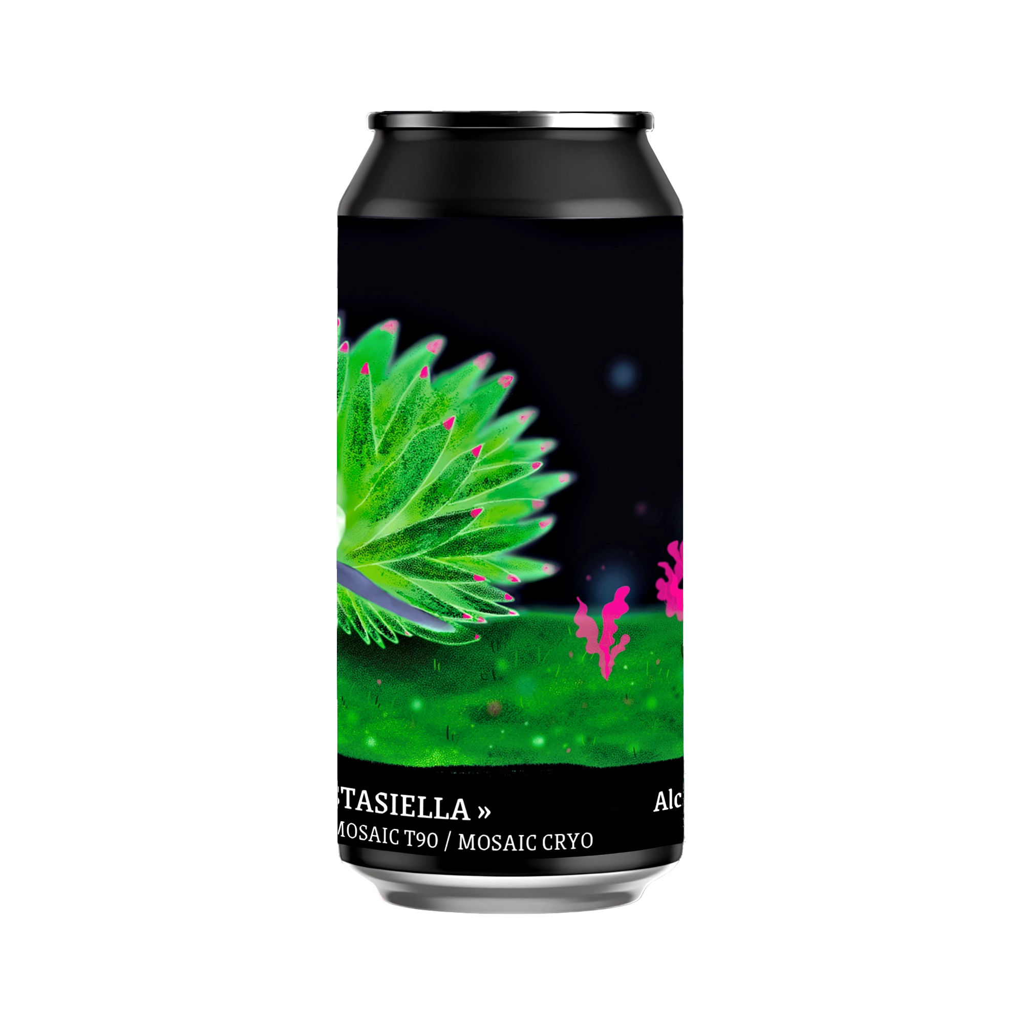 Costasiella